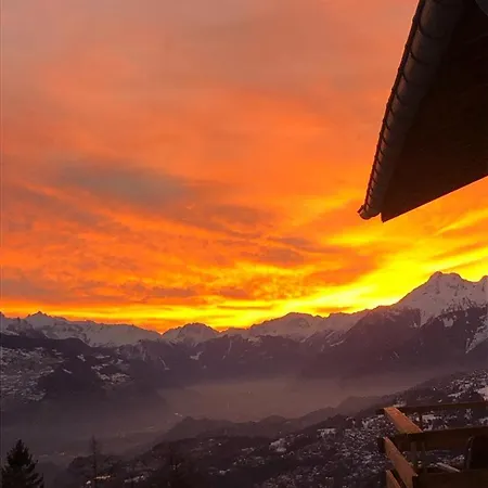 Duplex Кран-Монтана