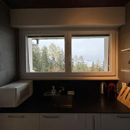 Duplex Apartment